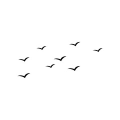 Flying birds silhouette flock. Vector illustration 