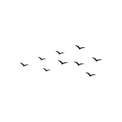 Flying birds silhouette flock. Vector illustration 