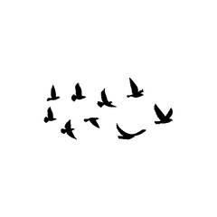 Flying birds silhouette flock. Vector illustration 