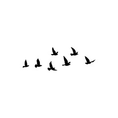 Flying birds silhouette flock. Vector illustration 