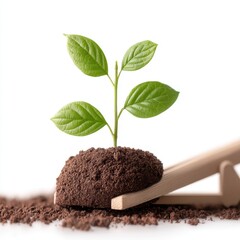 A small green plant sprouts from a mound of soil, resting on a wooden scoop, symbolizing growth and sustainability.
