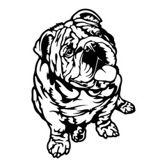 sitting English Bulldog Dog Breed - Pet Vector Cut file, Dog Silhouette Stencil - Cricut file