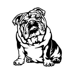 sitting English Bulldog Dog Breed - Pet Vector Cut file, Dog Silhouette Stencil - Cricut file
