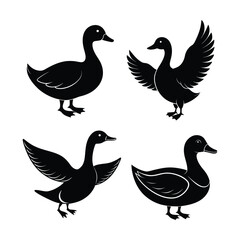 Animal Duck Silhouette Vector Illustration Set