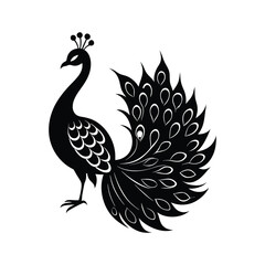 Elegant Peacock icon of silhouette vector illustration
