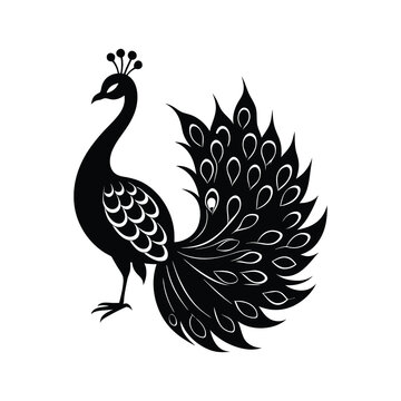 Elegant Peacock icon of silhouette vector illustration