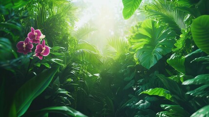 Lush green foliage, vibrant orchids, sunlit jungle.