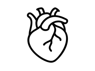 Anatomical Heart line art vector, Heart icon outline drawing vector illustration