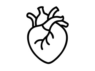 Anatomical Heart line art vector, Heart icon outline drawing vector illustration