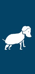 vector illustration of an dog
