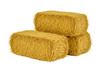 Three Golden Hay Bales Stacked High Rustic Farm Image