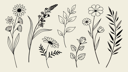 Wildflower Line Art Illustration Pack. Minimal Wildflower Clipart for Designers. Elegant Wildflower Line Drawing Bundle. Botanical Wildflower Line Art Collection.