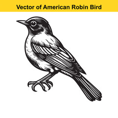Obraz premium American Robin Line Art Vector – Vintage Tattoo Style Bird Illustration for T-Shirts, Logos, Decals