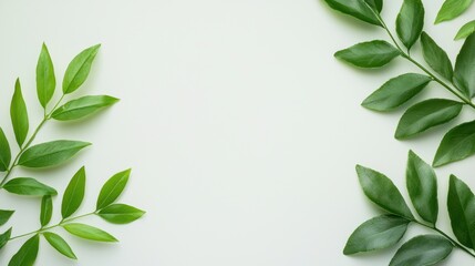 Fresh green leaves arranged on a soft background, creating a natural and calming aesthetic.