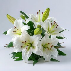 Fototapeta premium Elegant lily flower arrangement on white background