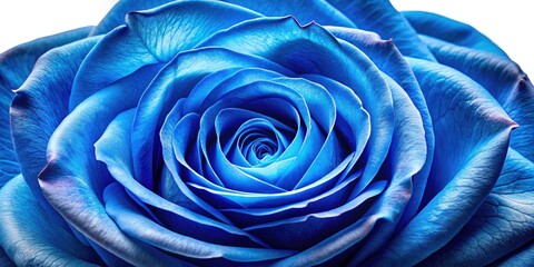 Stunning Macro Photography of Isolated Blue Rose Petals on Transparent Background for Floral Designs, Home Decor, and Nature Themes
