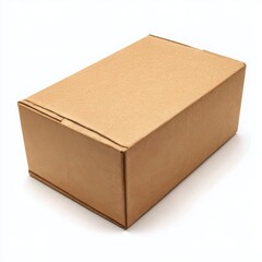 Cardboard rectangular box angled view on white background