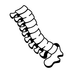 A hand drawn style icon of a spine bone 
