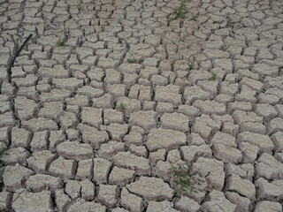  arid land cracked by drought - terre aride et craquelée par la sécheresse