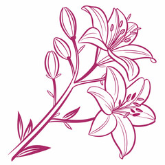 vector illustration of  flowers