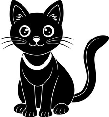 black and white kitten