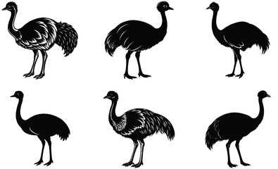 Fototapeta premium Emu domestic animal silhouette black vector art design set 