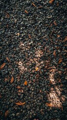 Autumnal Texture, Close-Up of Pebbles and Fallen Leaves on the Ground