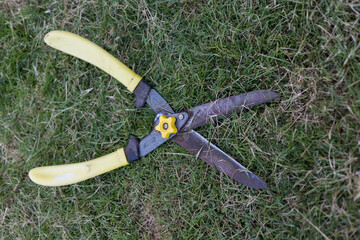 Fototapeta premium Garden shears on lush grass outdoor tools nature scene close-up viewpoint maintenance concept