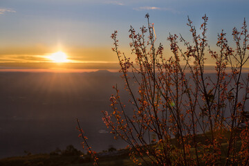 Sunrise over blossoming trees mountain view nature photography tranquil landscape scenic beauty serene environment