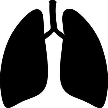 recommend clip art: Human lungs vector icon.