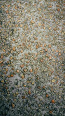 Detailed close-up of a weathered concrete surface with embedded pebbles providing a textured background ideal for graphic design