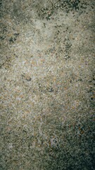 High-Resolution Texture of a Weathered Concrete Surface with Embedded Pebbles and Mossy Patches for Construction and Design Purposes