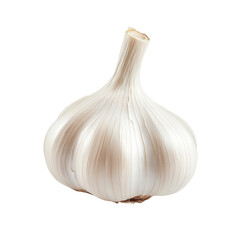 Fresh garlic bulb isolated on white background for culinary and health use in various dishes, Garlic isolated on white background