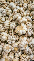 Aromatic Garlic Bulbs, A Close-Up of Nature's Flavorful Ingredient