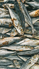 A close-up shot showcasing a pile of dried fish, a staple ingredient in many culinary traditions, and its texture