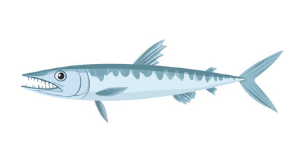 Obraz premium A detailed digital illustration of a barracuda is presented against a plain white background. The work shows the barracuda from a side view, from head to tail, highlighting its slender body.