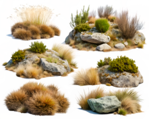 Four Rocky Patches with Dry Grass and Shrubs