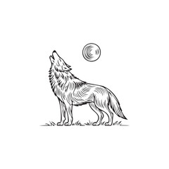 vector illustration of a Wolf