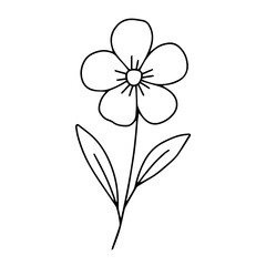 Dried Wildflower Line Art Set – Minimal Botanical Hand-Drawn Elements