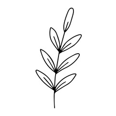 Dried Wildflower Line Art Set – Minimal Botanical Hand-Drawn Elements