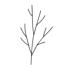 Dried Wildflower Line Art Set – Minimal Botanical Hand-Drawn Elements