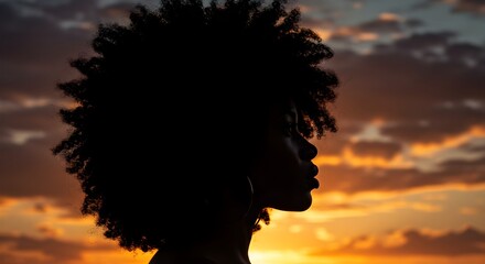 Silhouette portrait showcasing natural hair against a dramatic sunset backdrop
