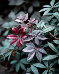 Subdued natural hues create a transparent background with variant shades on rhododendron leaves in a 6x standard vertical format.