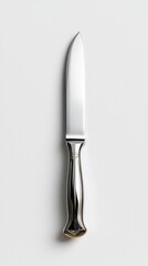 Elegant Silver Butter Knife, Isolated Kitchen Utensil, Fine Dining Tableware