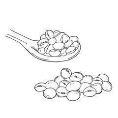 Doodle soybeans in a spoon isolated on white background