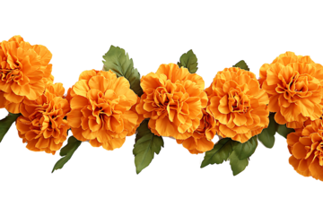 Design a floral garland featuring orange