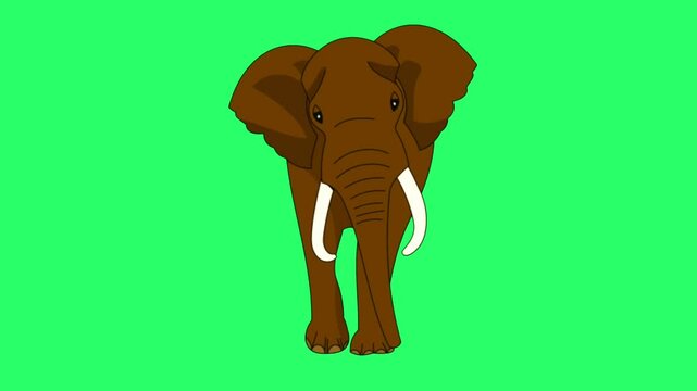 Animation elephant on green background.