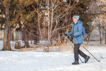 Banner mature woman walking in winter park with Nordic walking poles enjoying fresh air and active lifestyle with space for text. health concept, fitness club, winter sports.