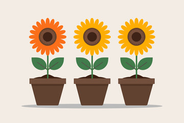 Obraz premium Three Potted Sunflowers with Different Colored Petals - Flat Vector Illustration