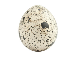 Close-up Studio Shot of a Single Speckled Quail Egg against a Black Background